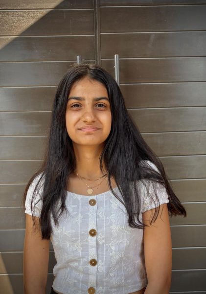 Palak Babber