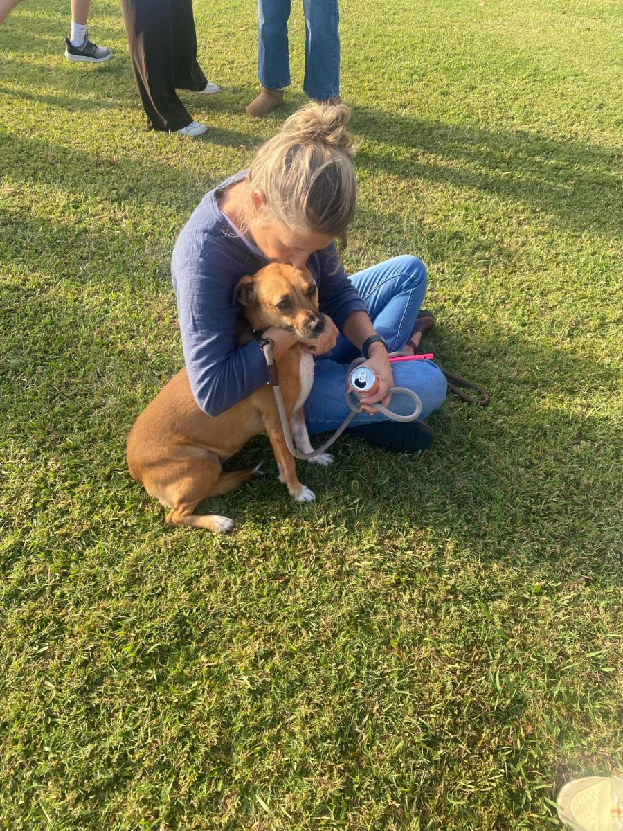 Puppy love #SAblessingofthepets