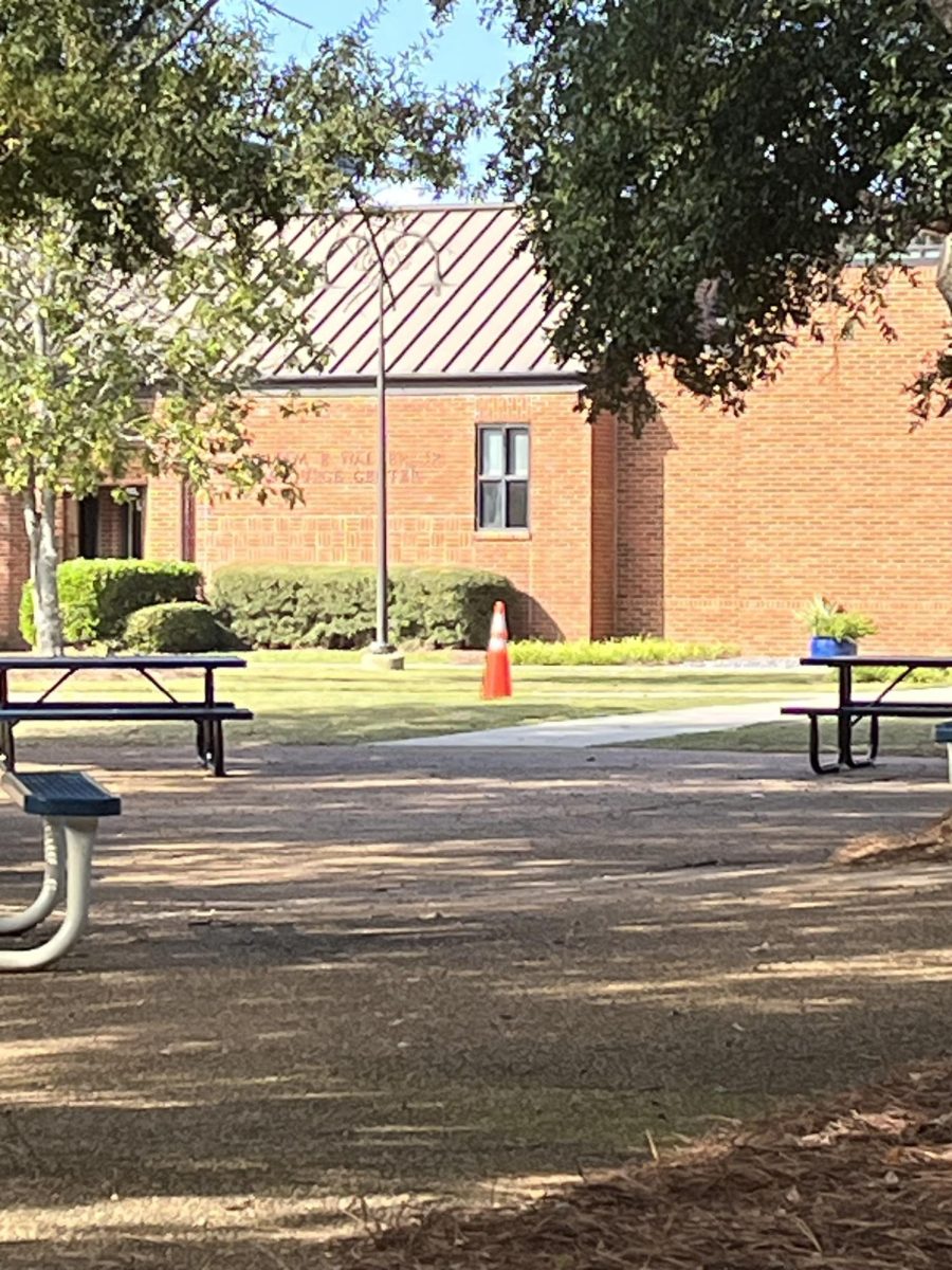 Courtyard vibes: cone edition