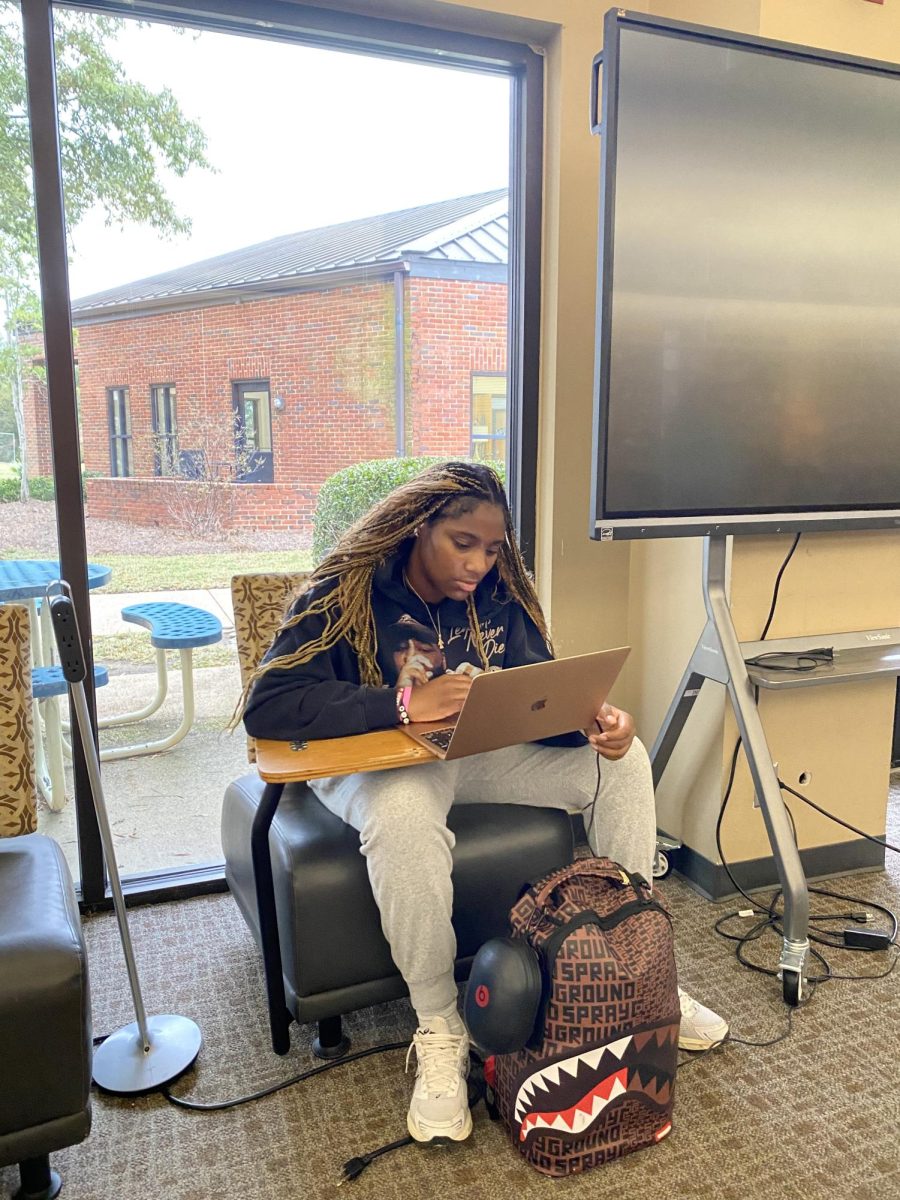 Essays in the SA Library