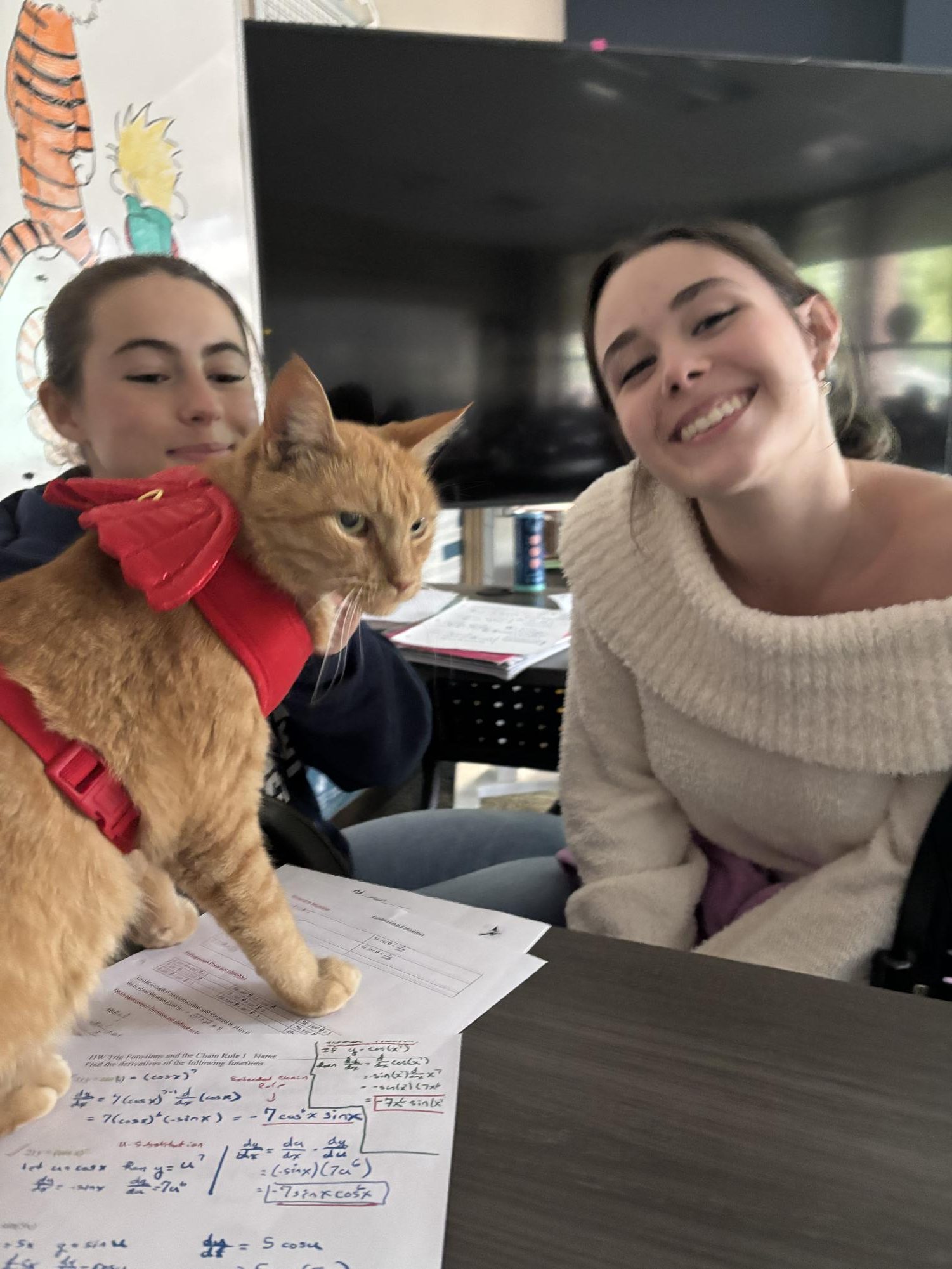 Study Paw-tner